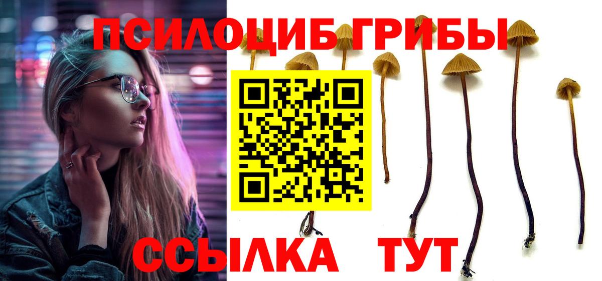 Галлюциногенные грибы Psilocybine cubensis  Псилоцибиновые грибы мицелий  Котовск  Вход с VPN 