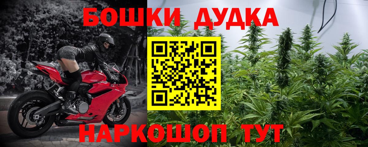 Бошки марихуана OG Kush  Бошки Шишки Ganja  Шишки марихуана семена  Вход с VPN  Котовск  Конопля марихуана 