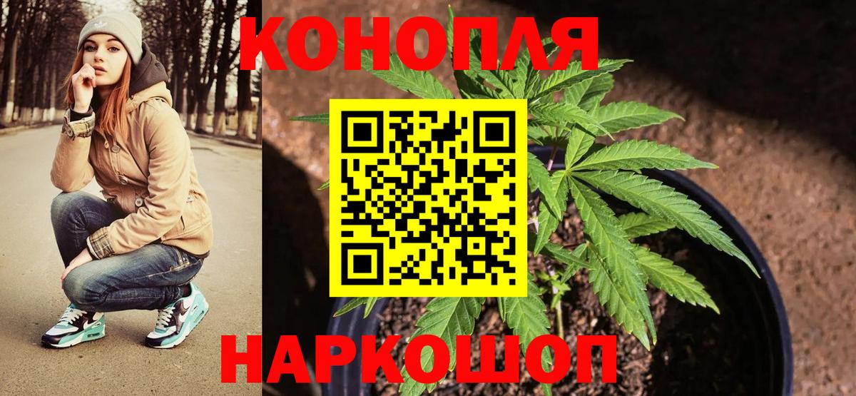 Бошки Шишки Amnesia Котовск